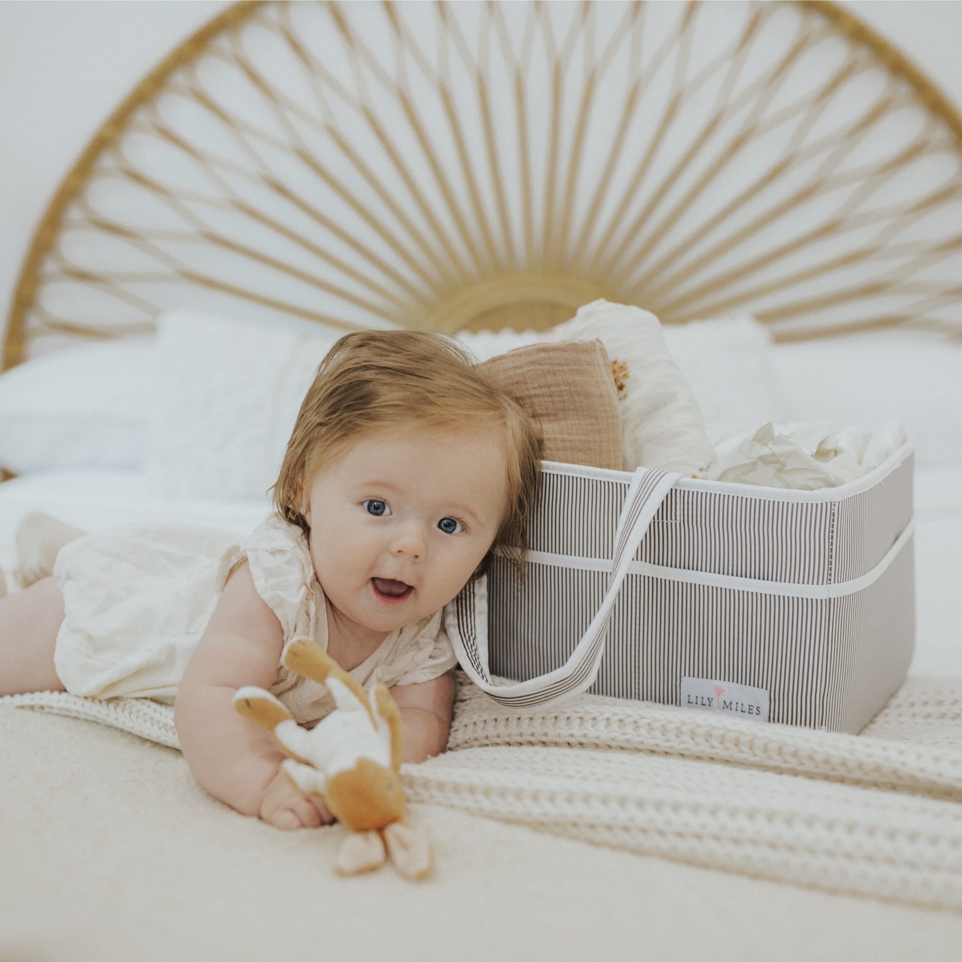 My Humble (Ahem, Cheap) Baby Necessity…The Diaper Caddy